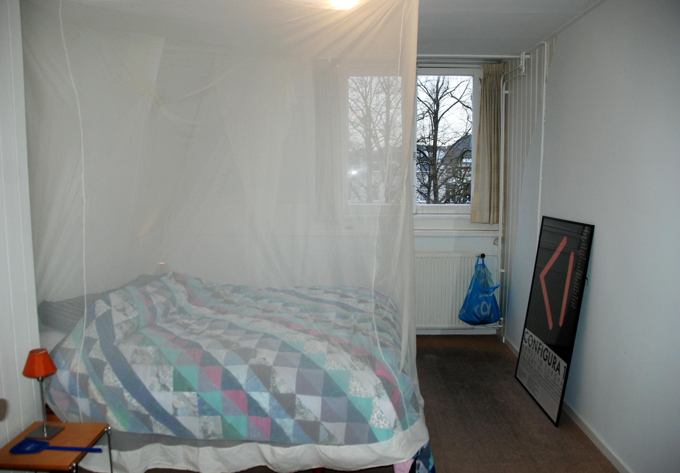 korianderstraat 01