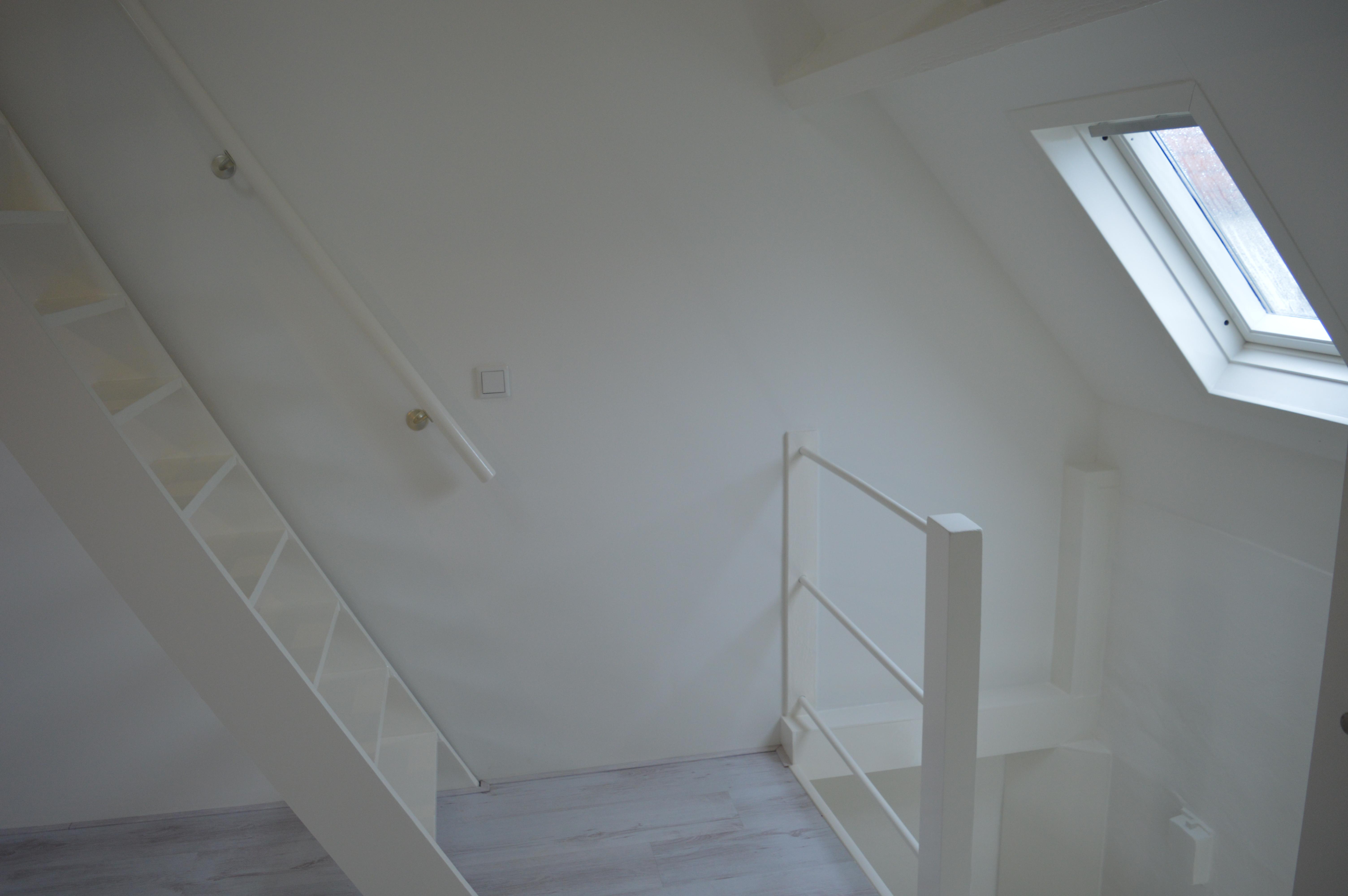 korianderstraat 01