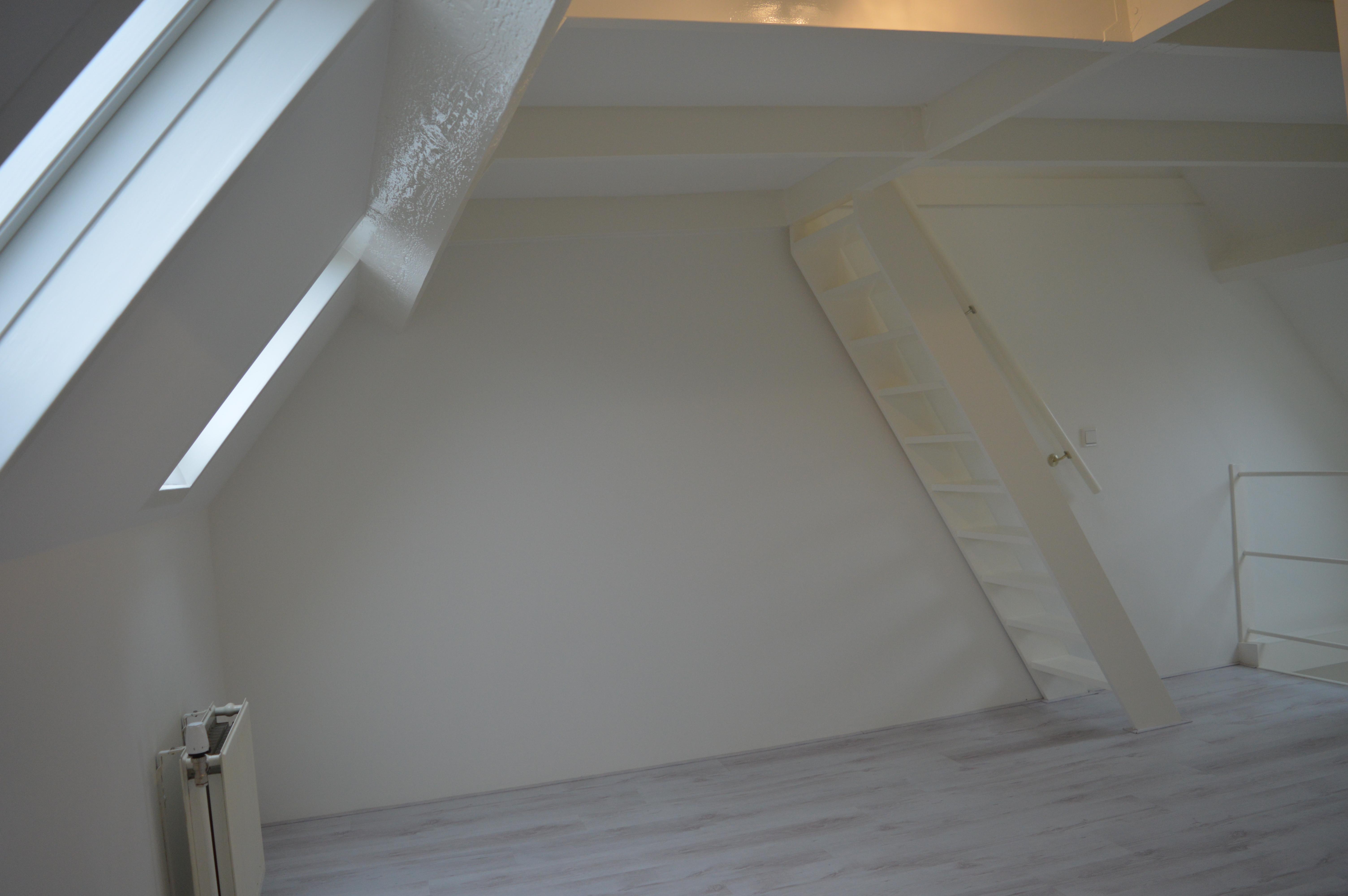 korianderstraat 01