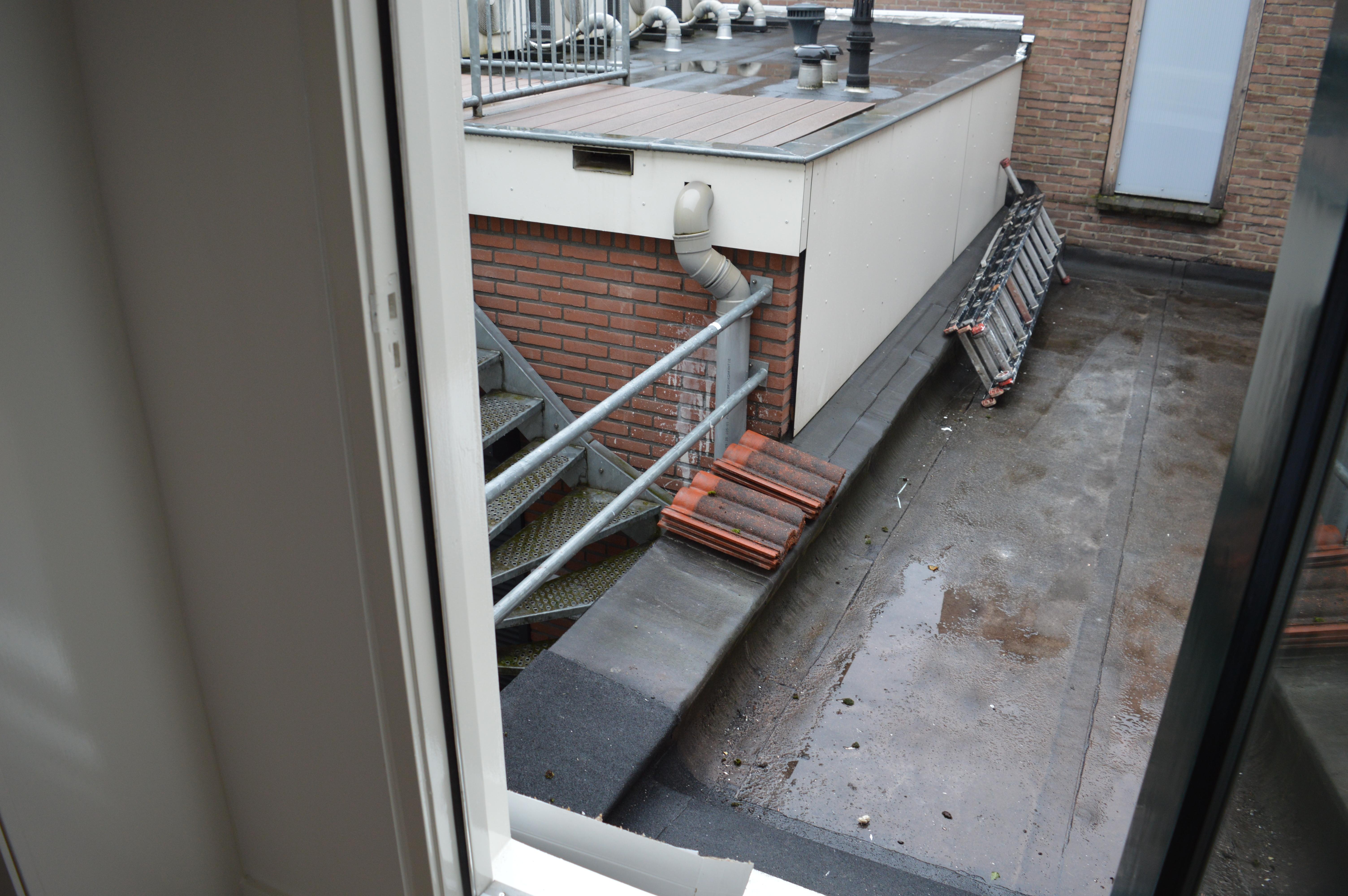 korianderstraat 01