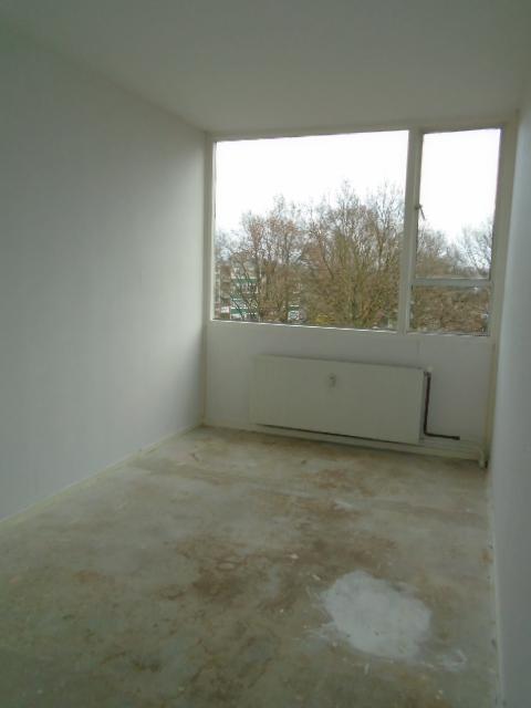 korianderstraat 01