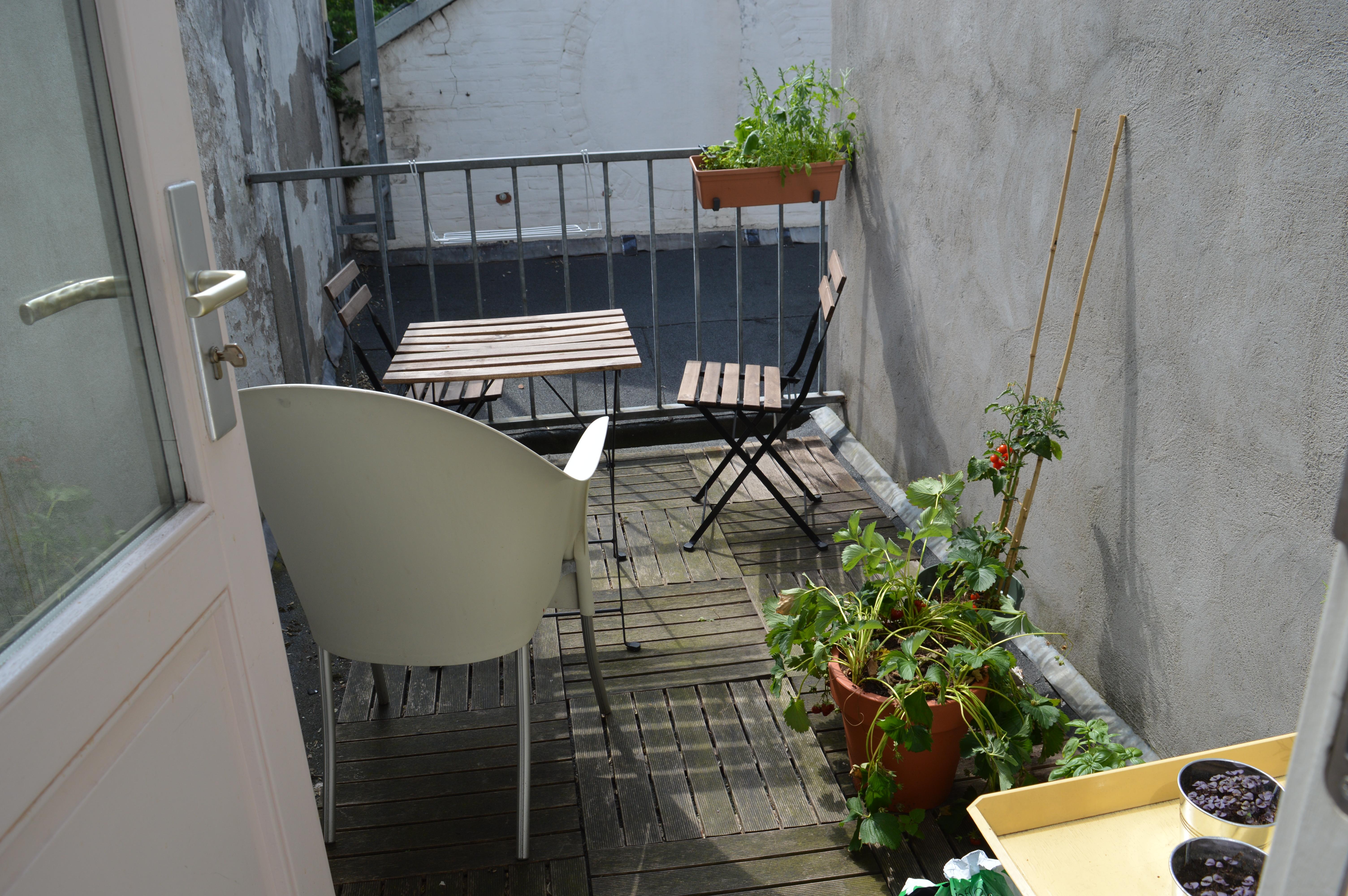 korianderstraat 01
