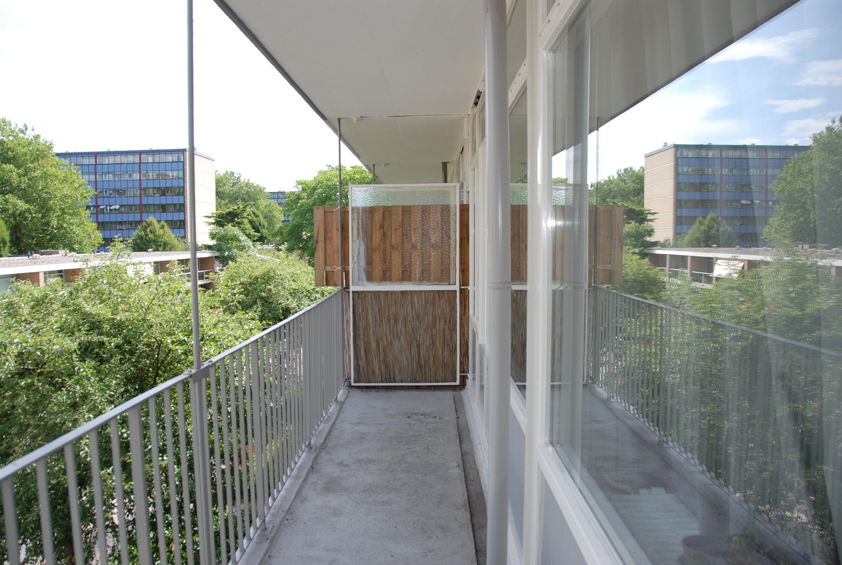 korianderstraat 01