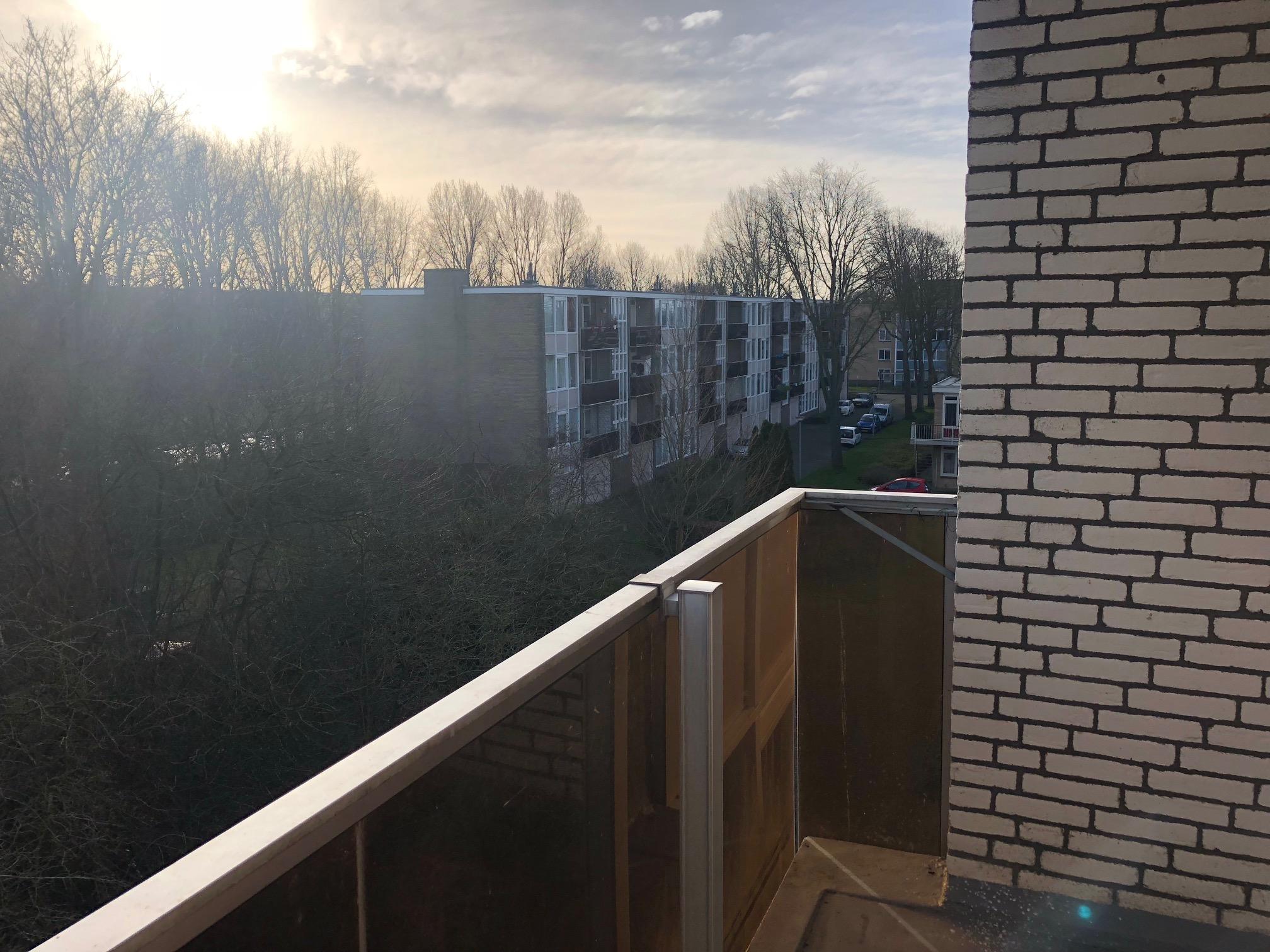 korianderstraat 01