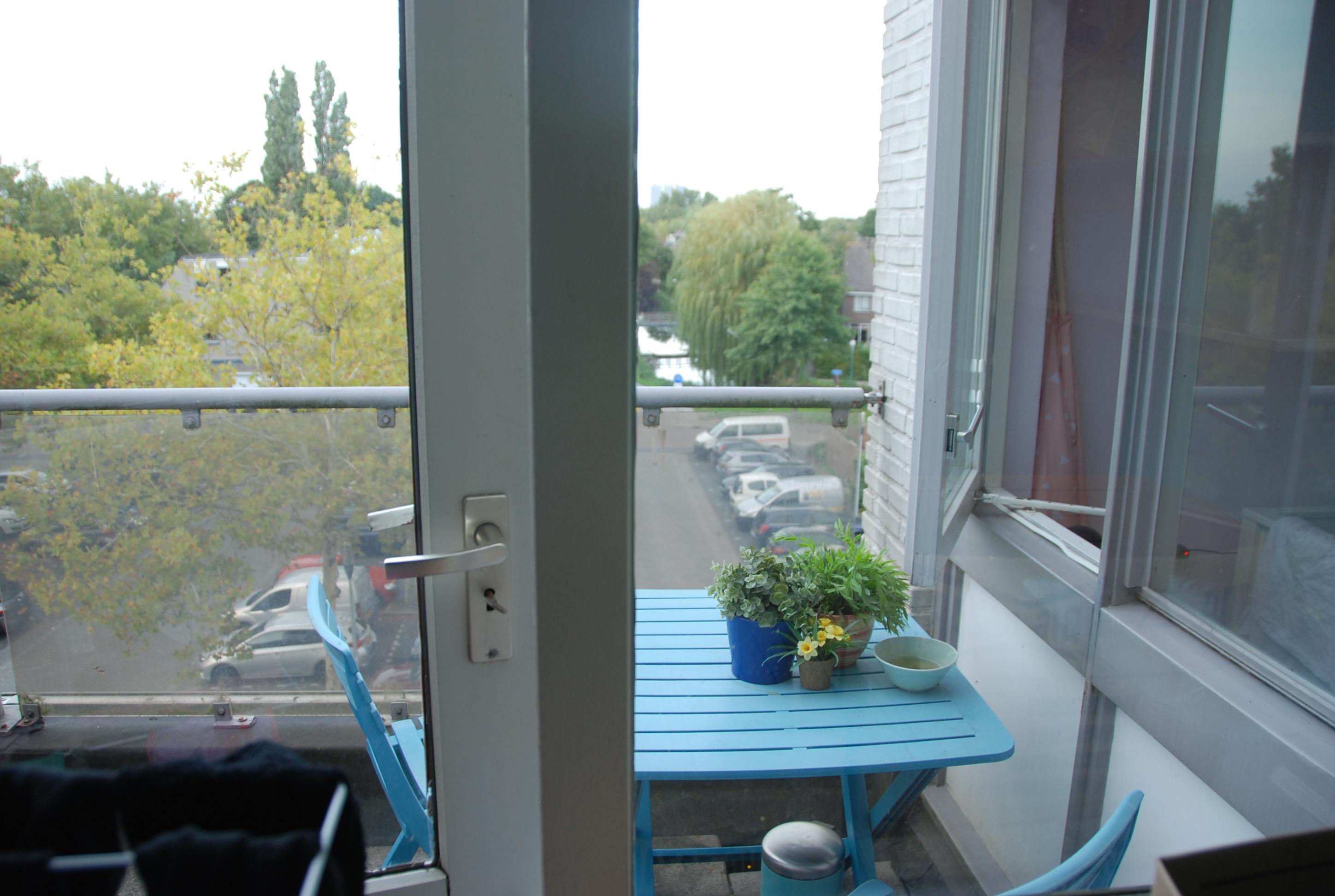 korianderstraat 01