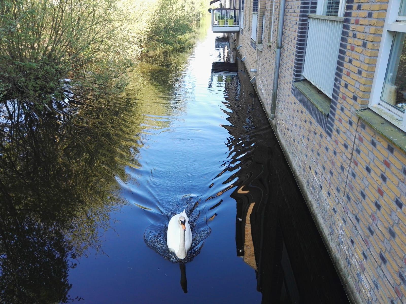 korianderstraat 01