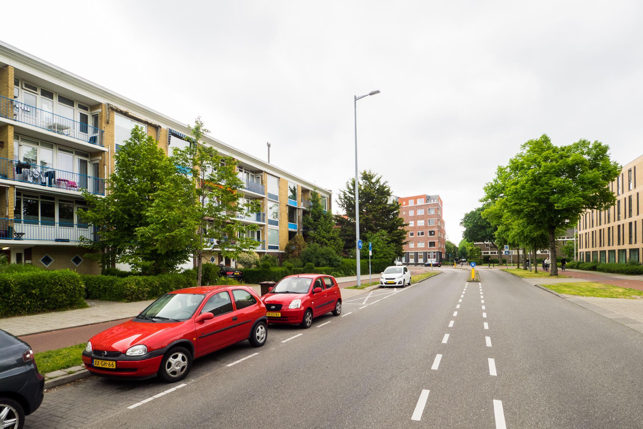 korianderstraat 01