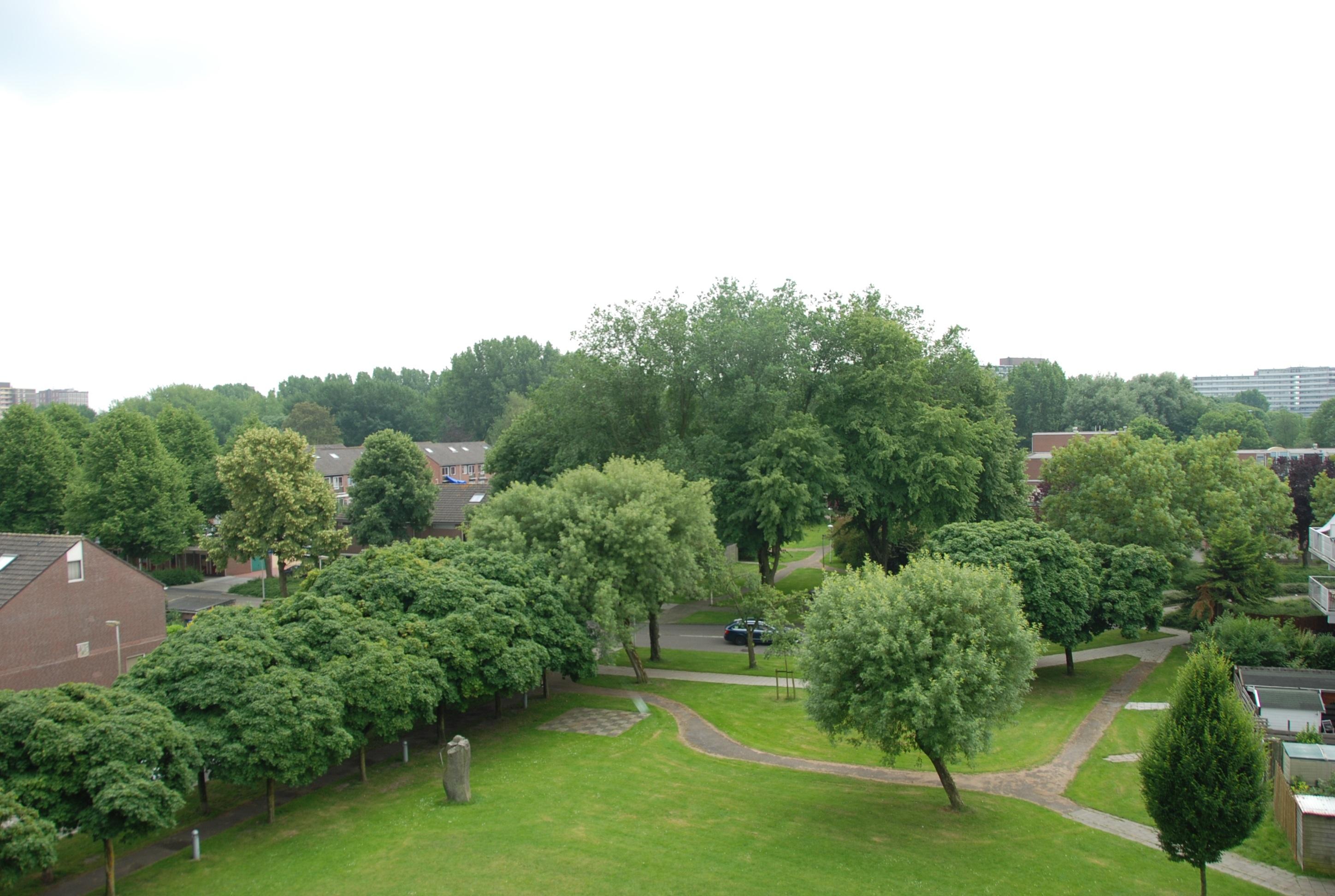 korianderstraat 01