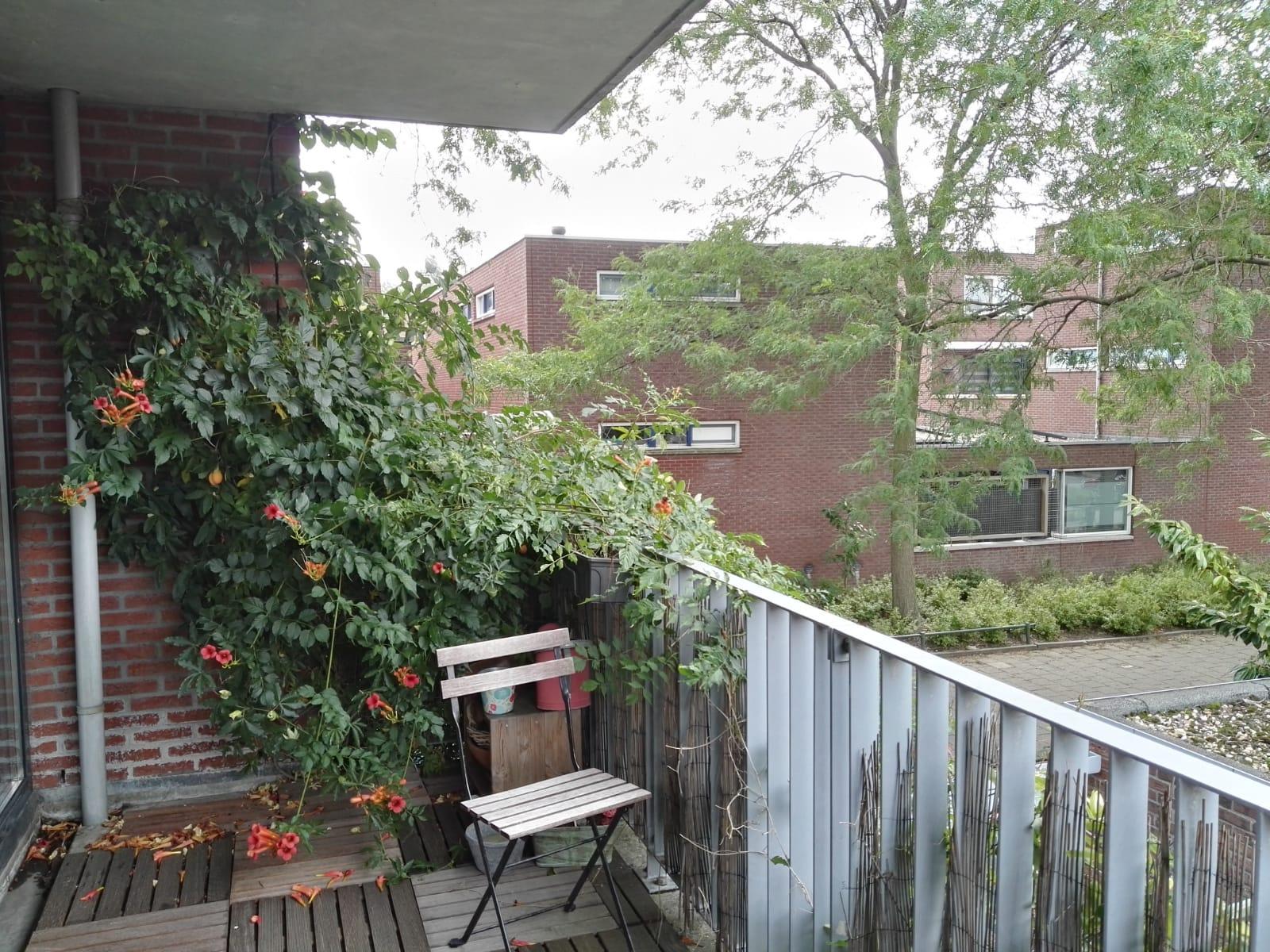 korianderstraat 01