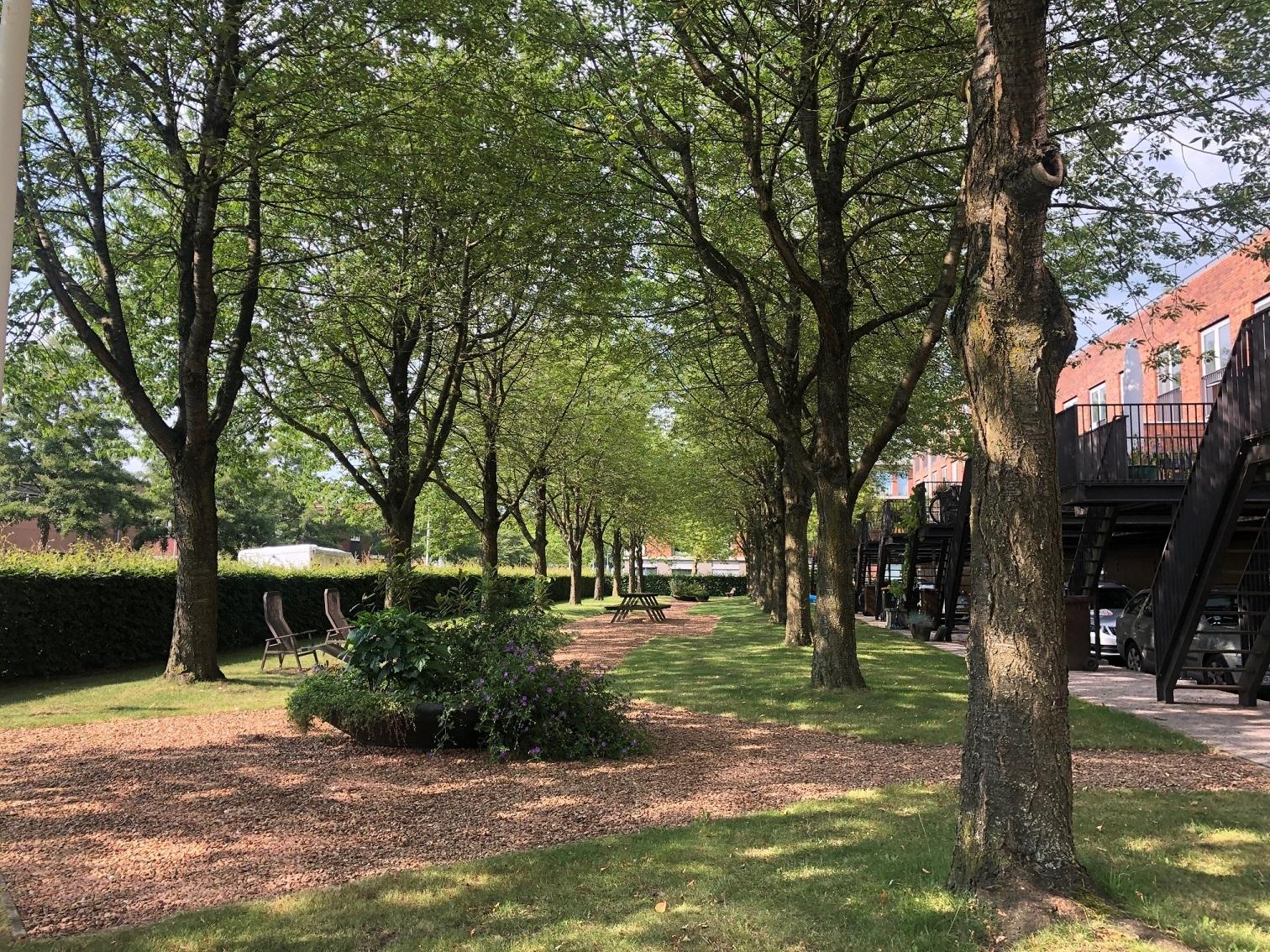 korianderstraat 01
