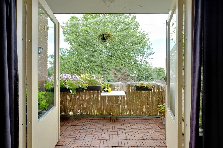 korianderstraat 01