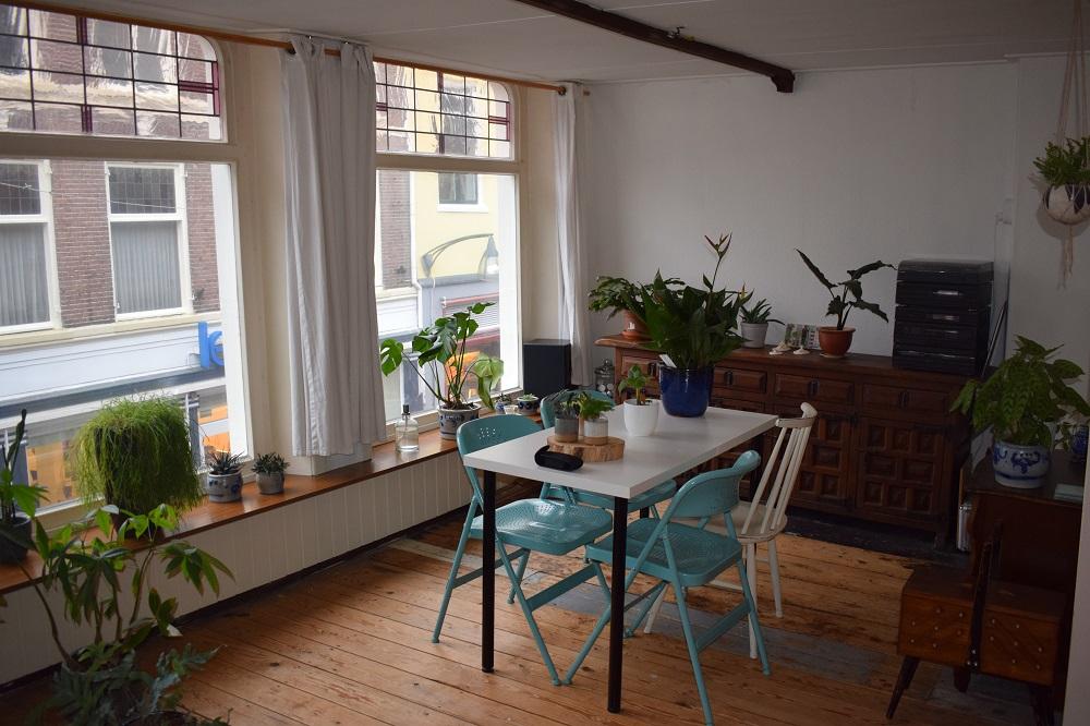 korianderstraat 01