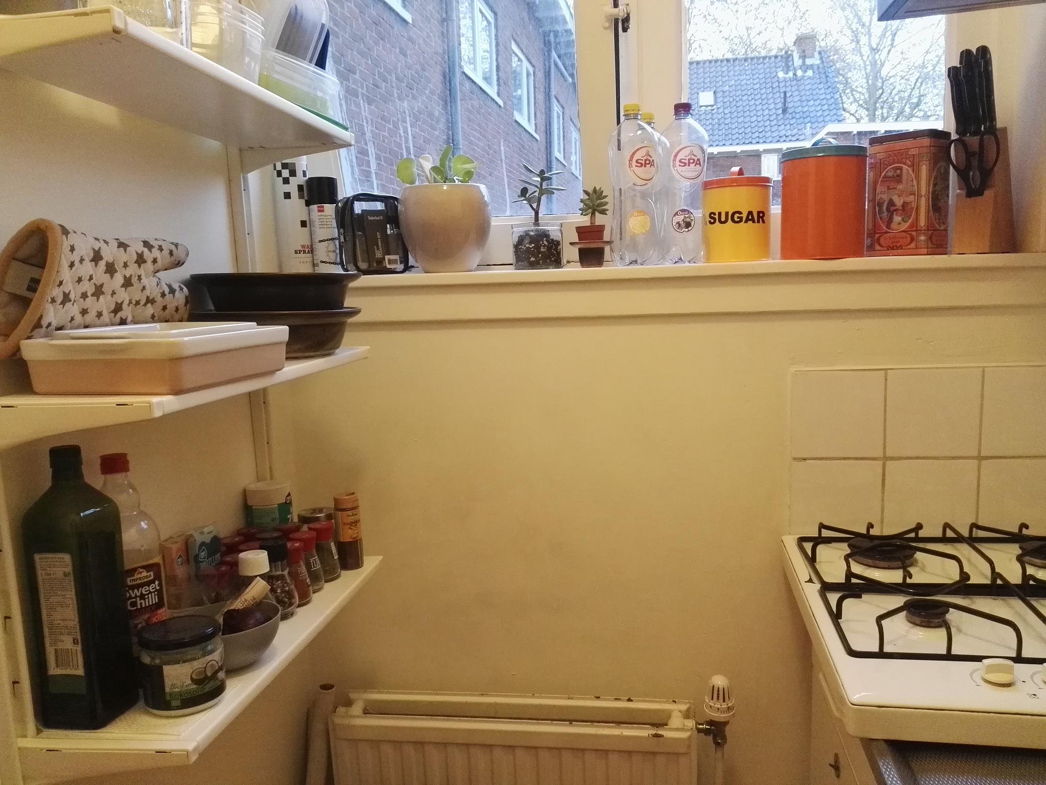 korianderstraat 01