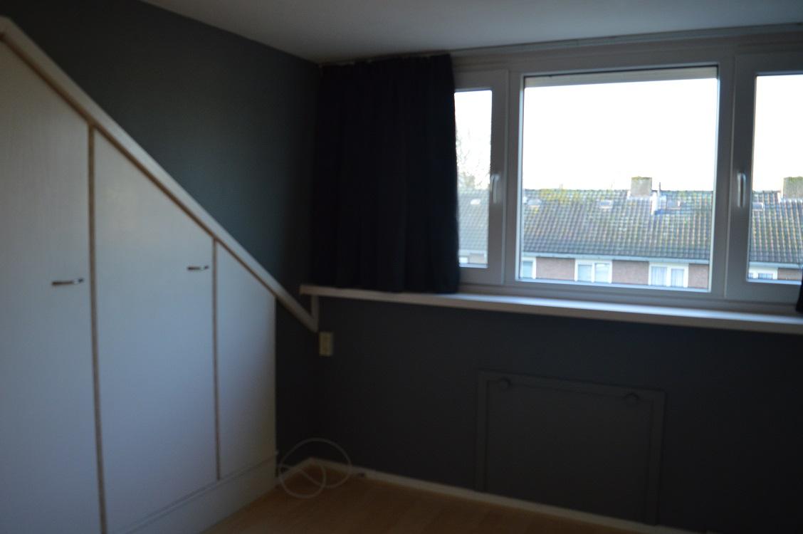 korianderstraat 01