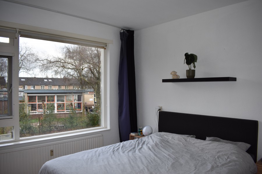 korianderstraat 01