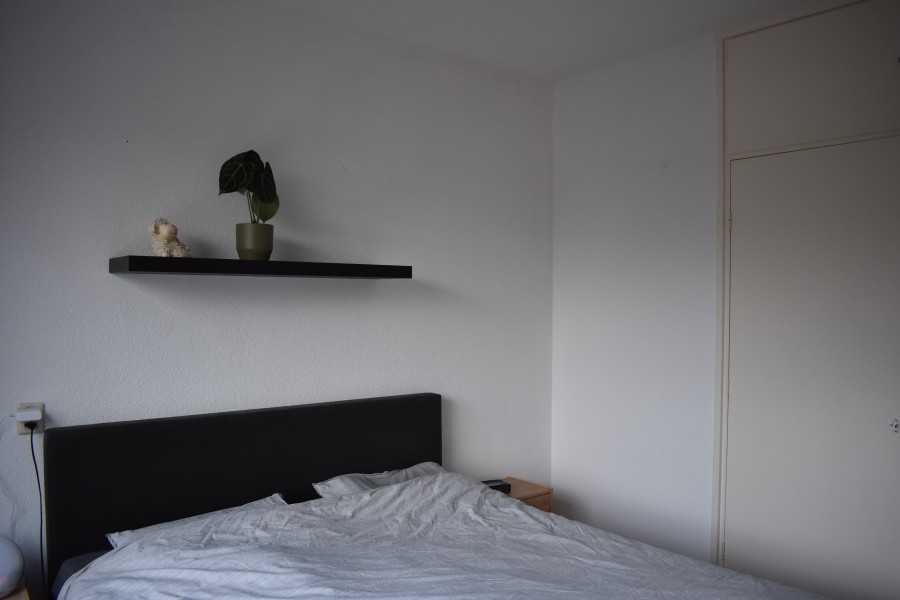 korianderstraat 01