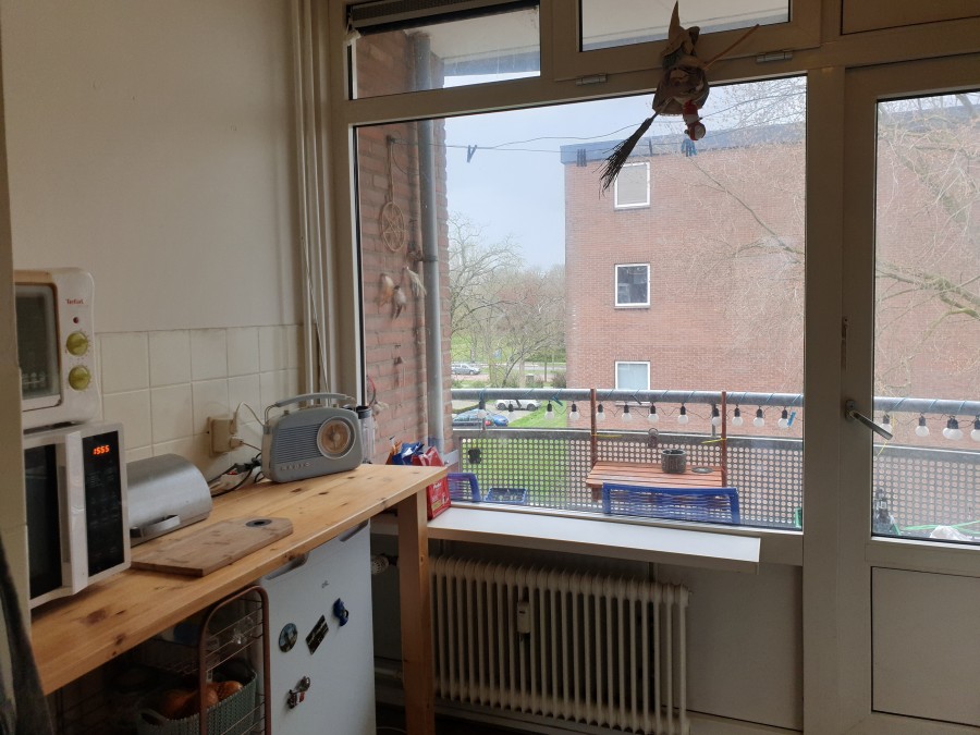 korianderstraat 01