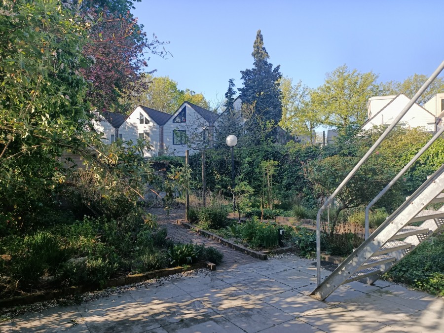 korianderstraat 01