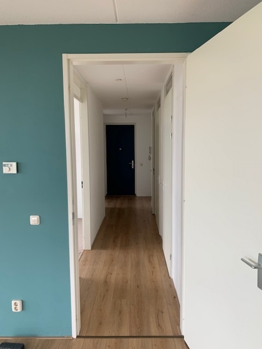 korianderstraat 01