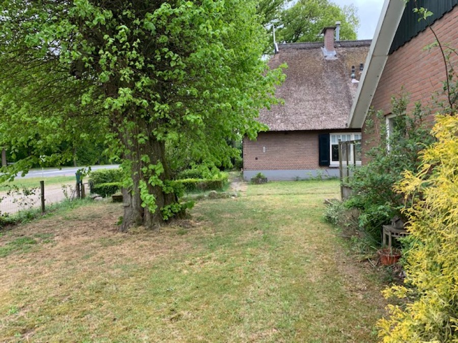 korianderstraat 01