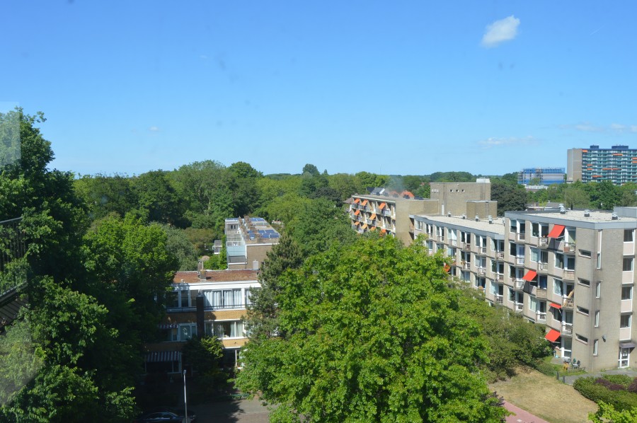 korianderstraat 01