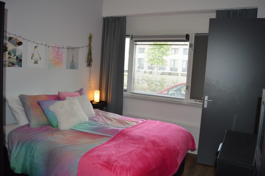 korianderstraat 01