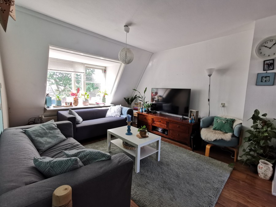 korianderstraat 01