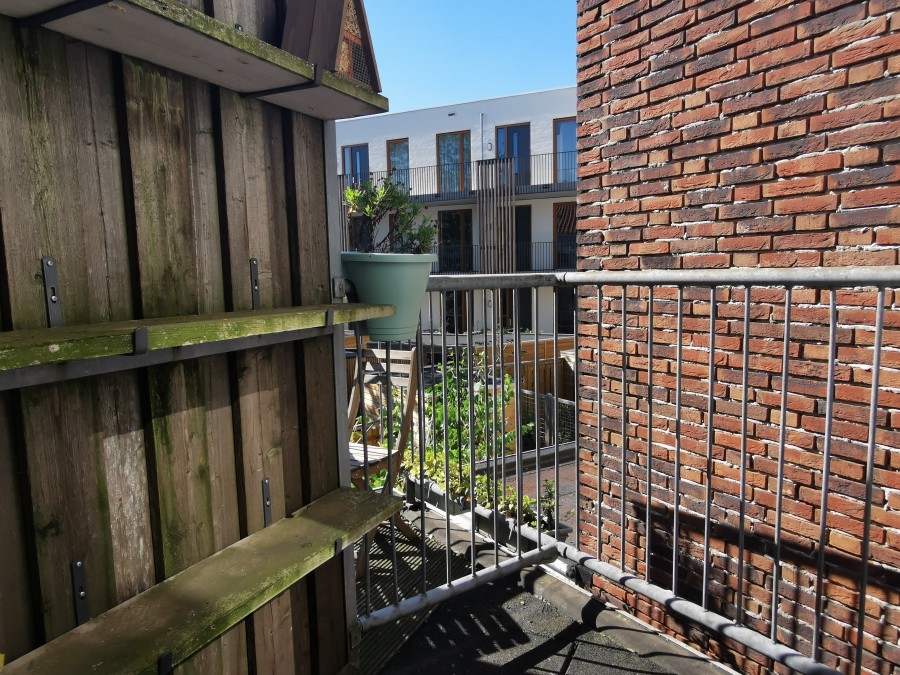 korianderstraat 01