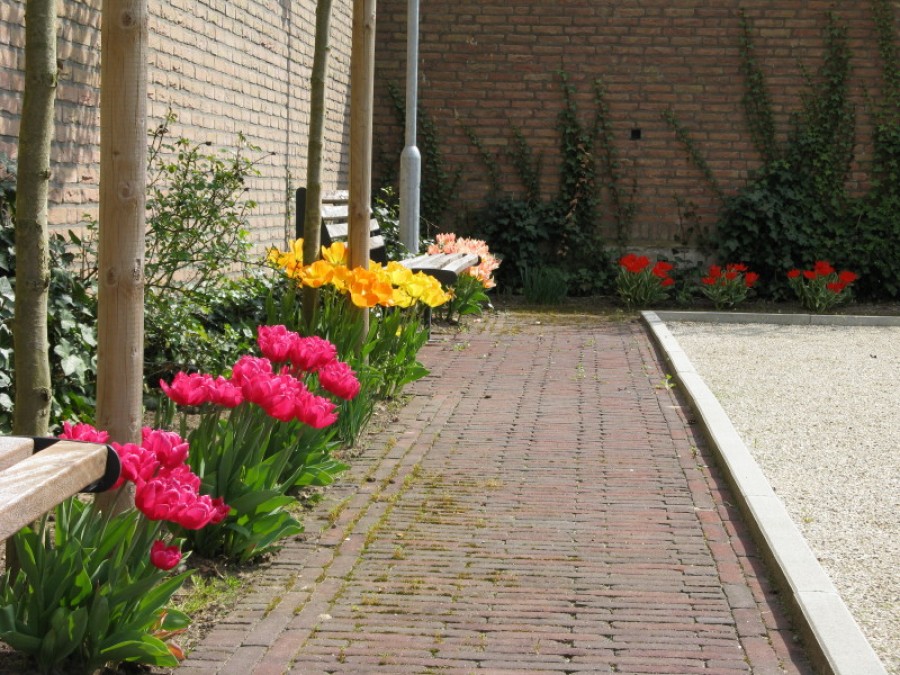 korianderstraat 01