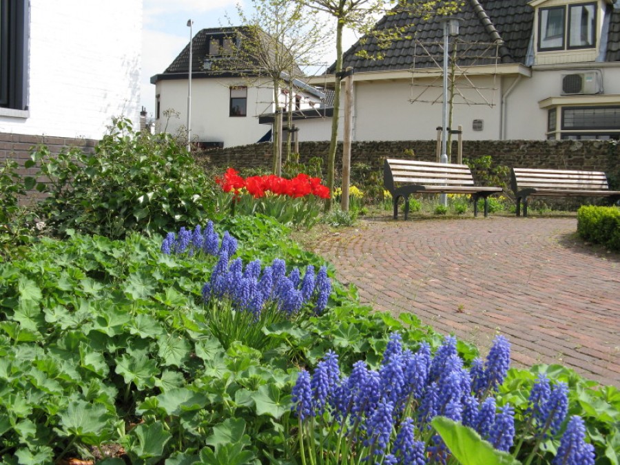 korianderstraat 01