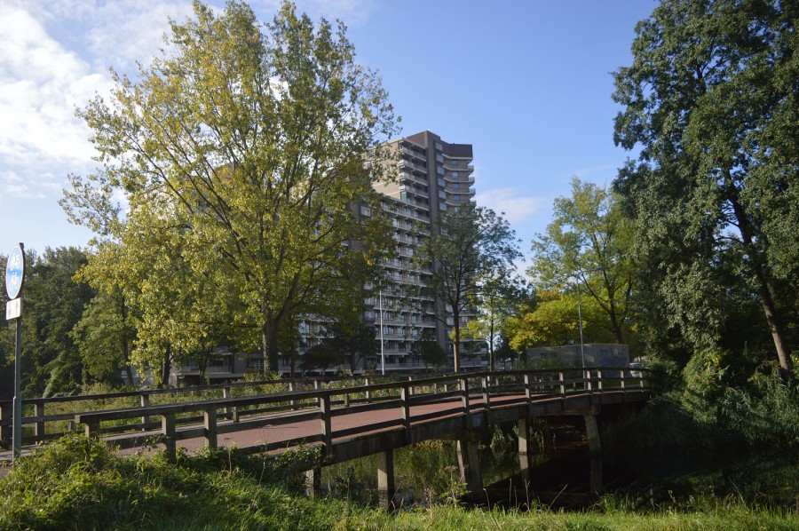 korianderstraat 01