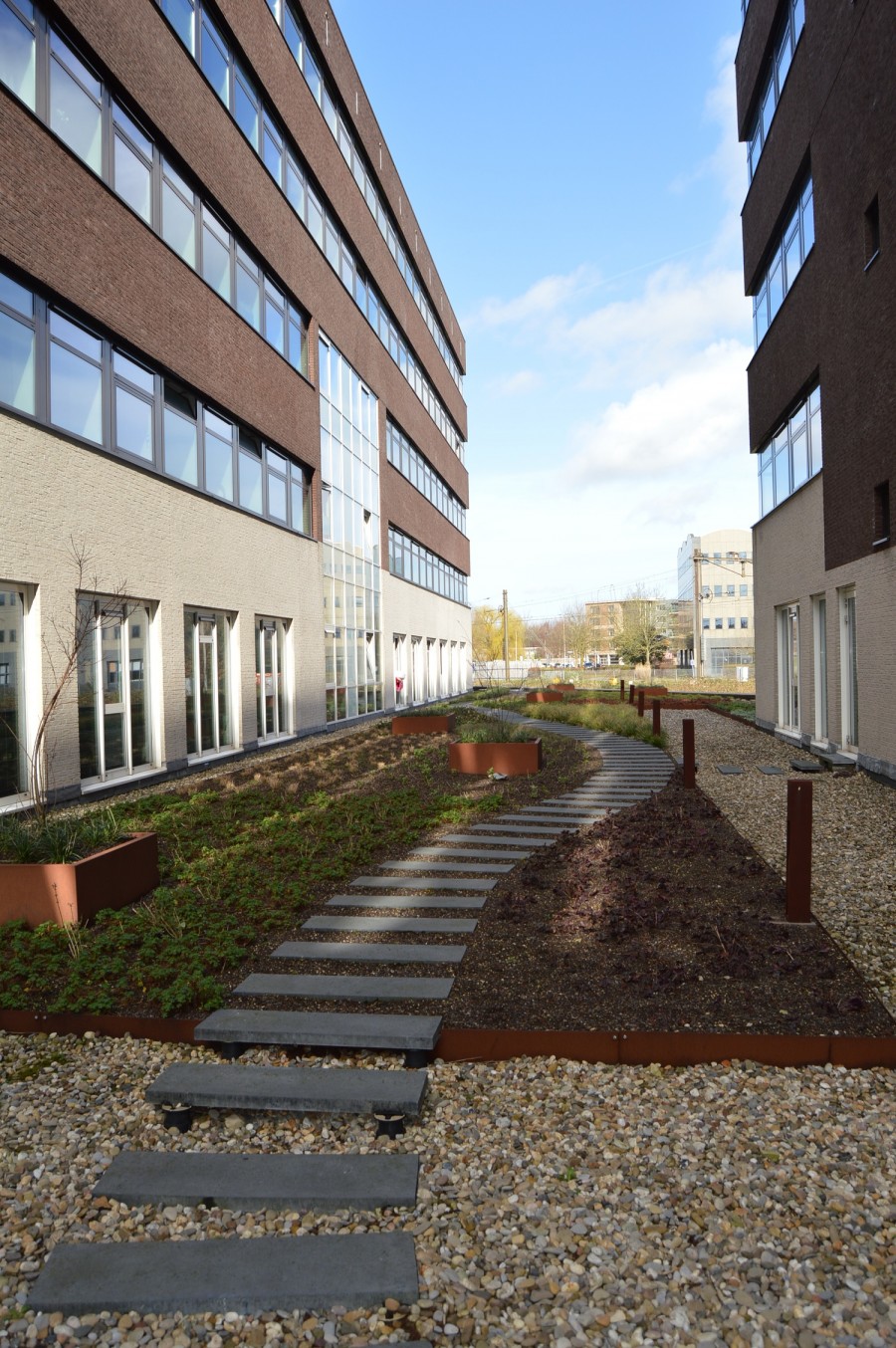 korianderstraat 01