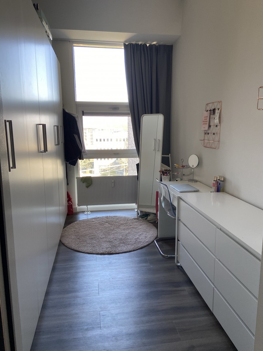 korianderstraat 01