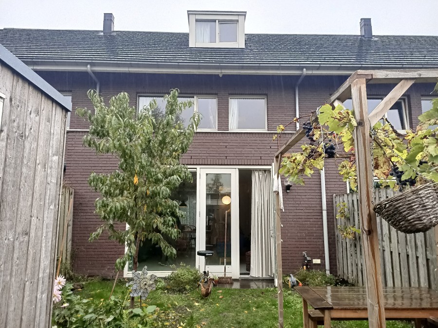 korianderstraat 01