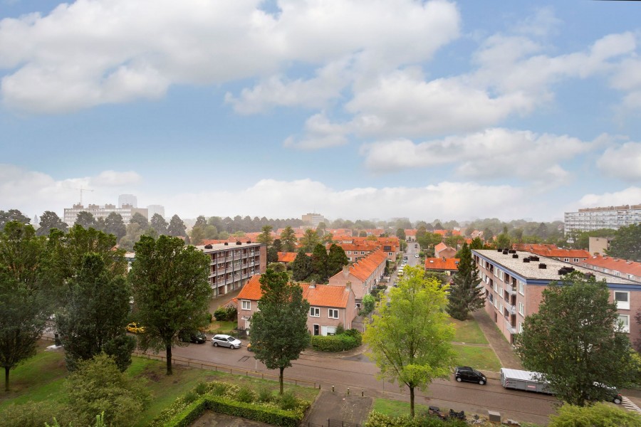 korianderstraat 01