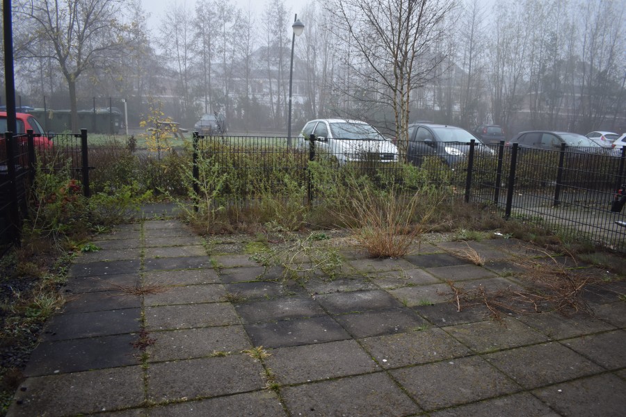 korianderstraat 01