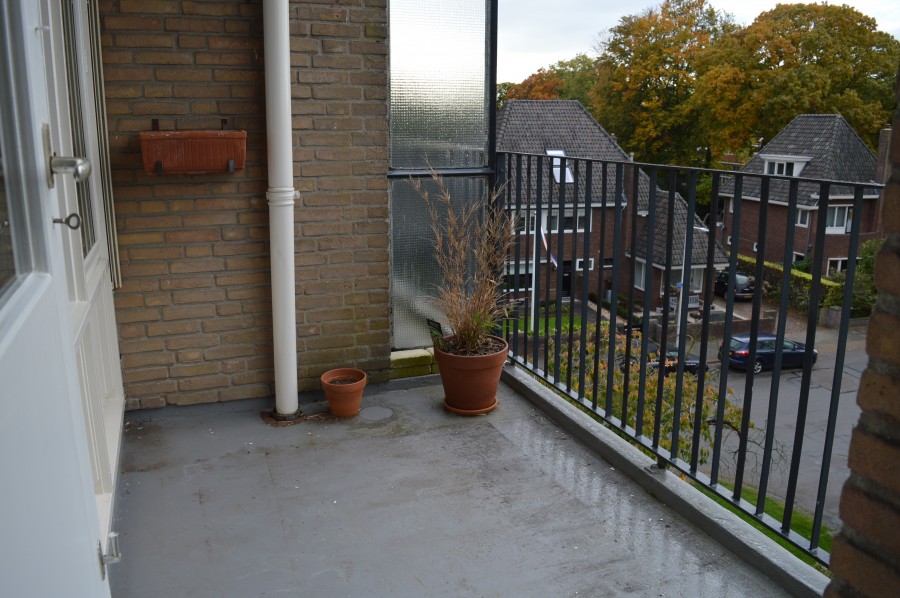 korianderstraat 01
