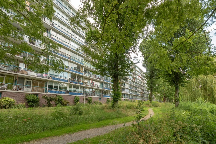 korianderstraat 01