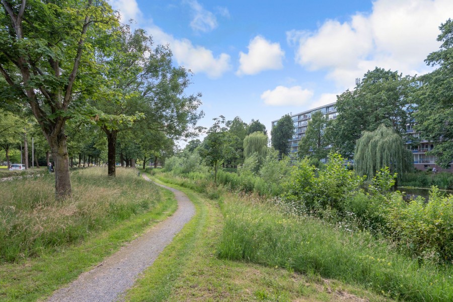 korianderstraat 01