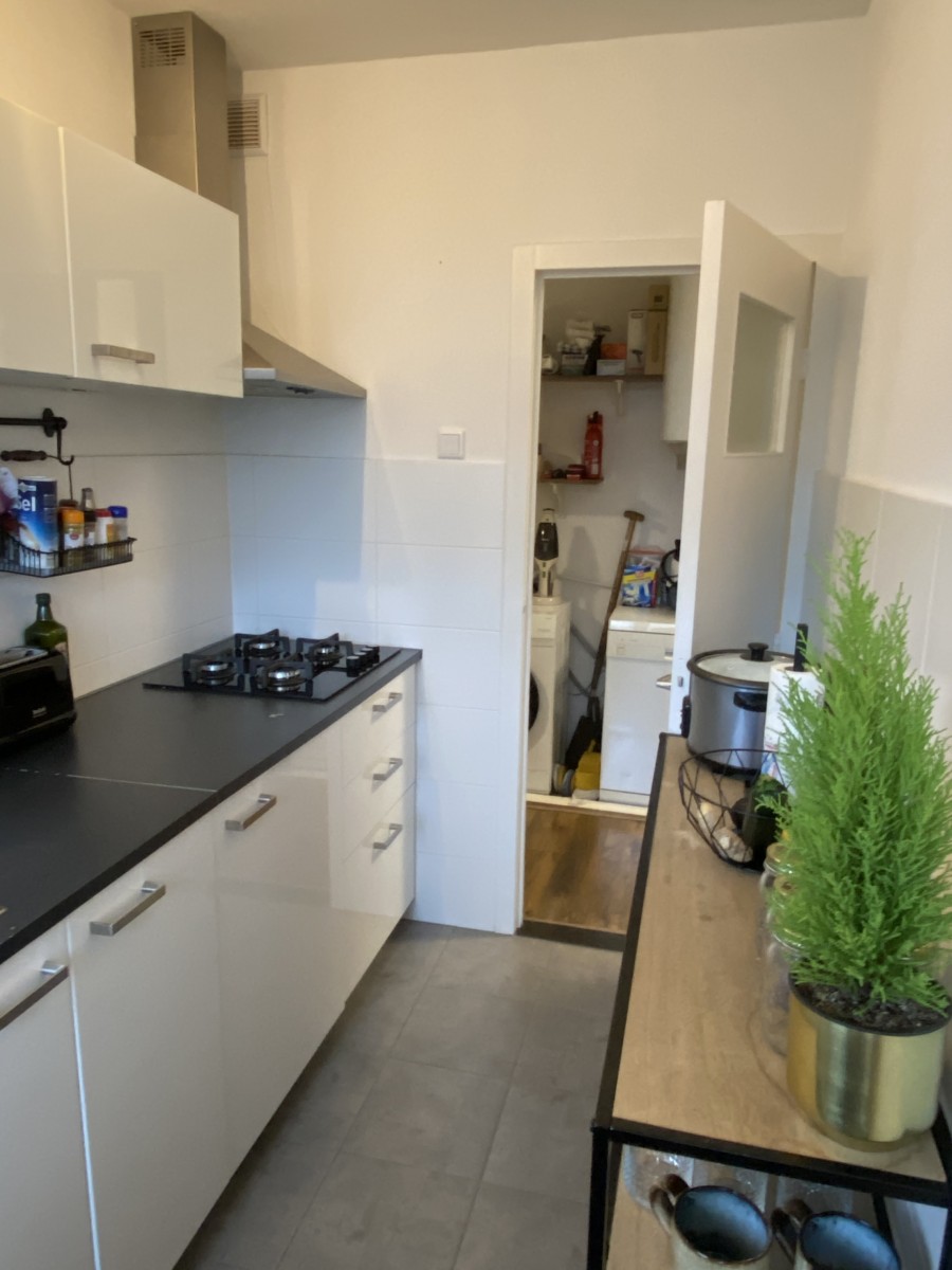 korianderstraat 01