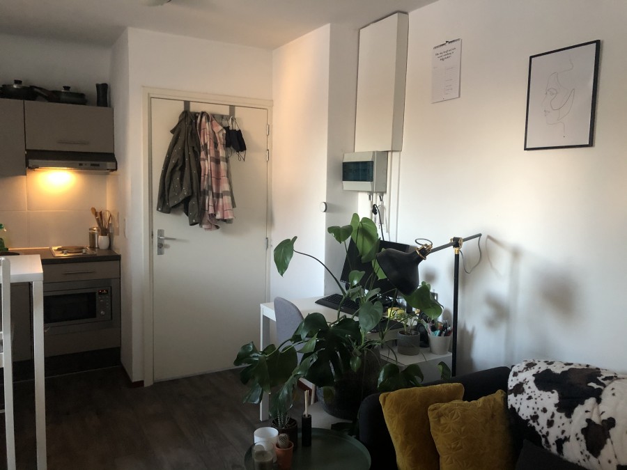 korianderstraat 01