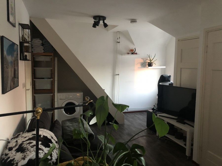 korianderstraat 01