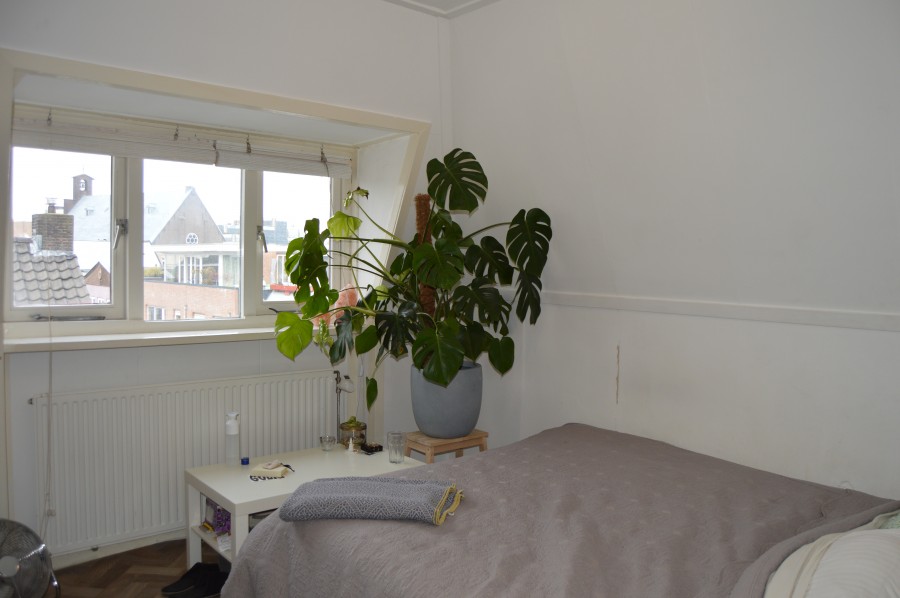 korianderstraat 01