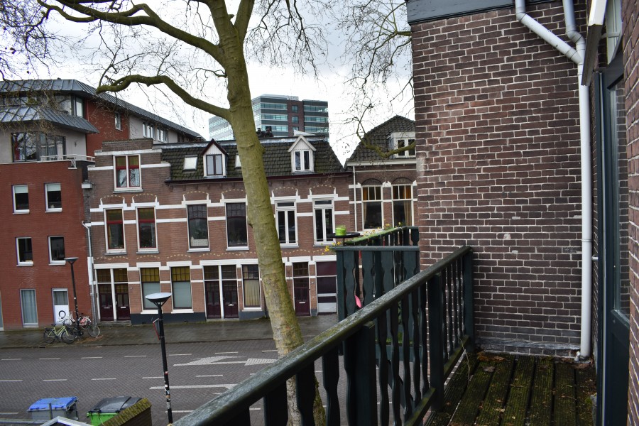 korianderstraat 01