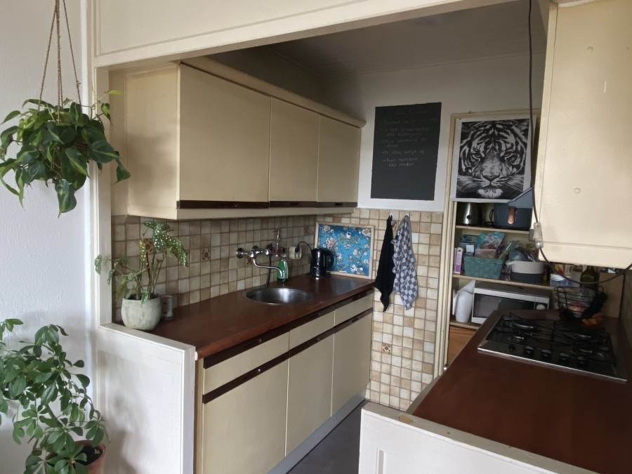 korianderstraat 01
