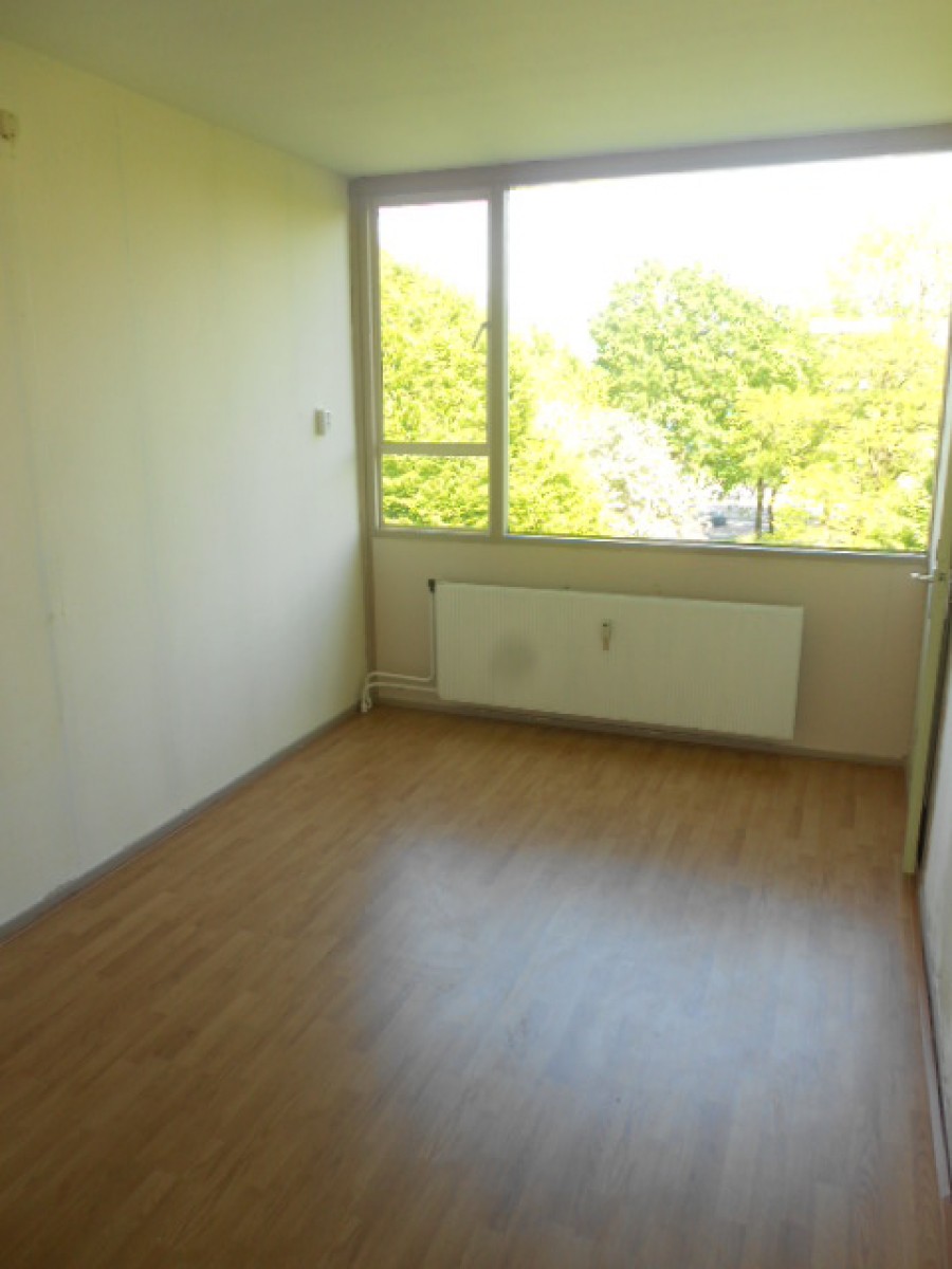 korianderstraat 01