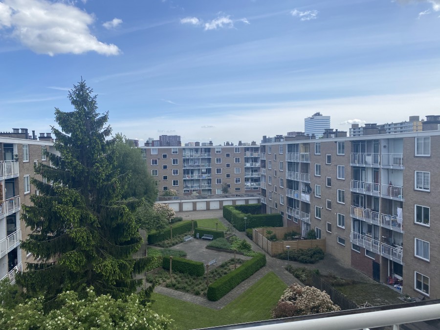 korianderstraat 01