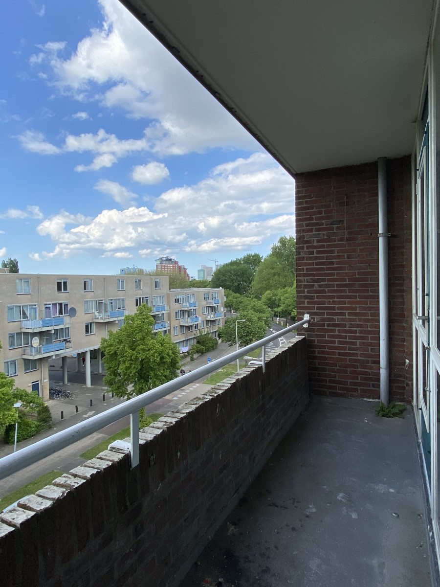 korianderstraat 01