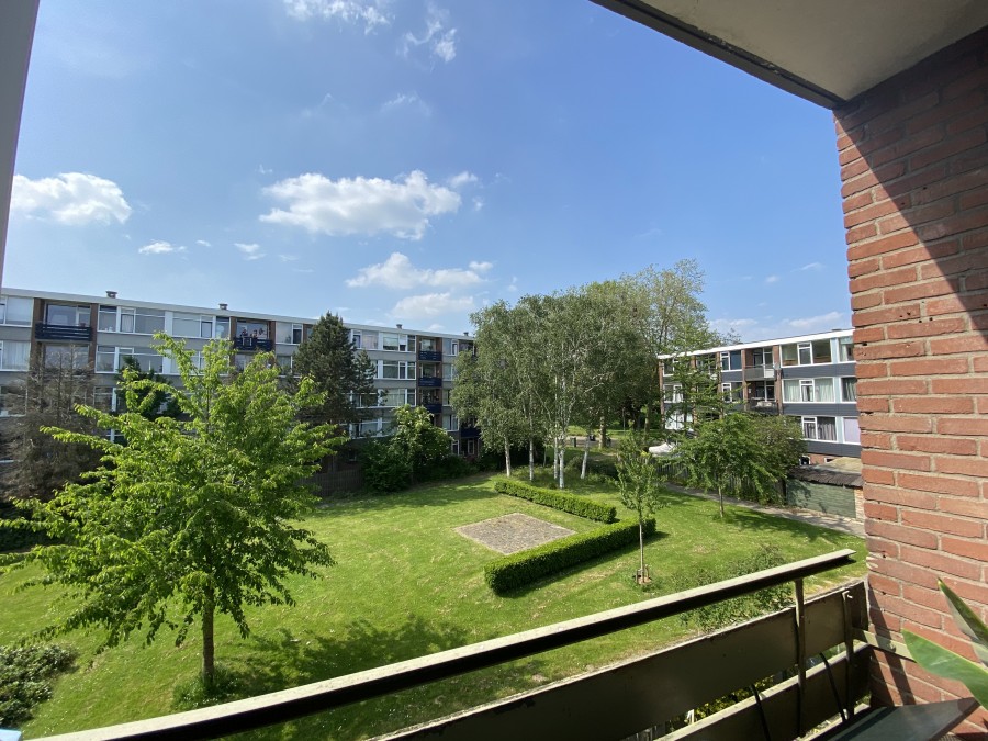 korianderstraat 01