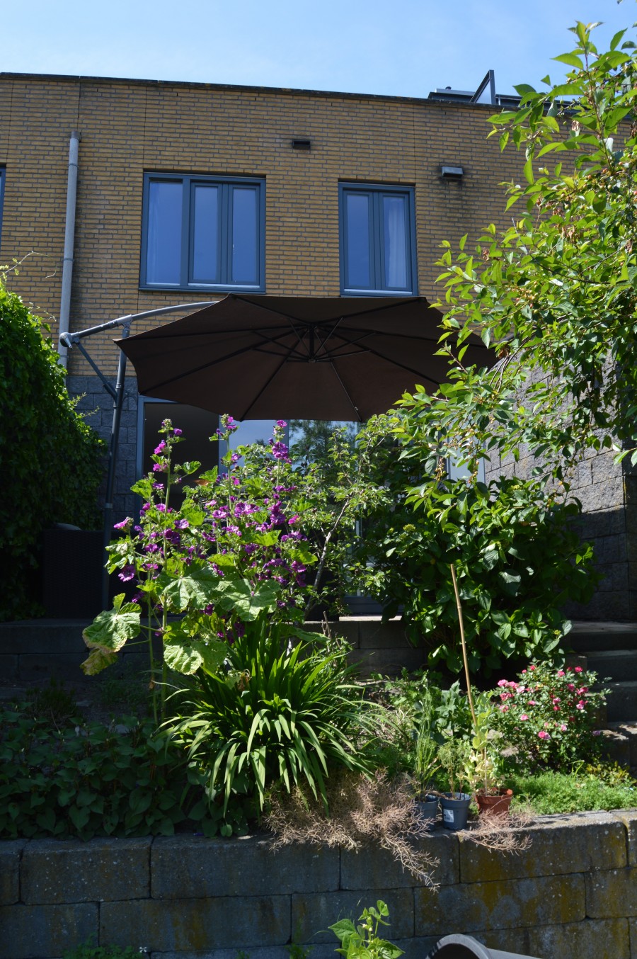 korianderstraat 01